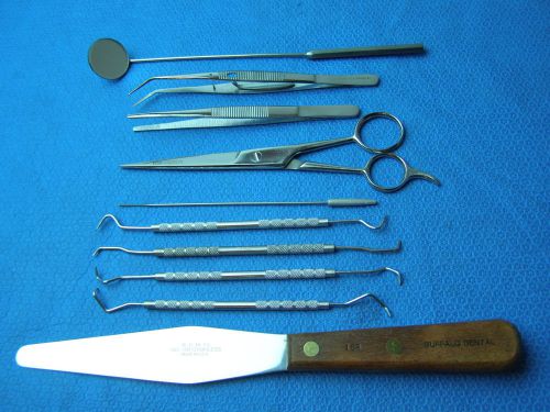 10 pcs- pet dental &amp; grooming kit,scaler mirror,spatula,veterinary instruments for sale