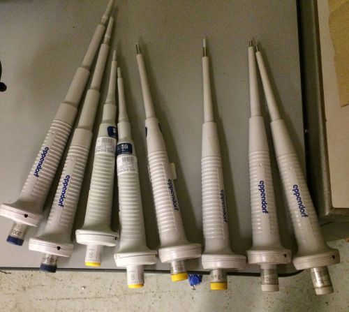 Lot of Eppendorf Pipettes (Qty 8)