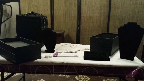 Lia Sophia Advisor kit/lot for jewelry shows, EUC