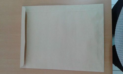Manila Plain Brown Envelope