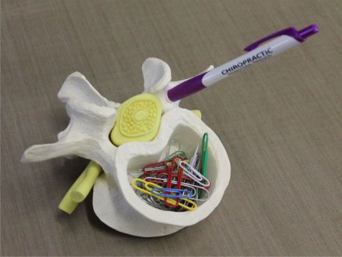 OVERSIZED ANATOMICAL LUMBAR PENHOLDER MODEL