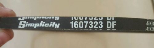 SIMPLICITY MANUFACTURING 1607323 Replacement Belt