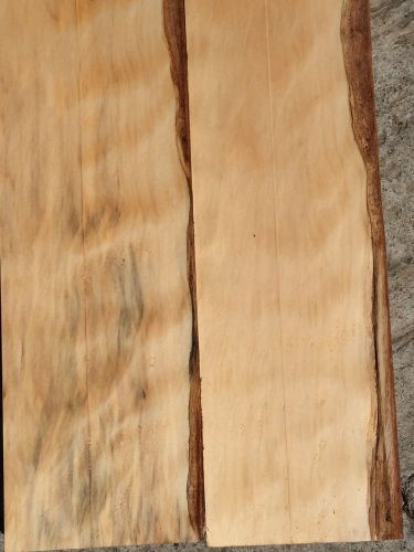 Monterey Cypress Reclaimed Wood 2 Pieces 24&#034;x6&#034;x6&#034;x2&#034;