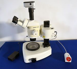 Leica MZ12, MST31 Motorized Focus Stereomicroscope with INVENIO 5D/5M pixel USB