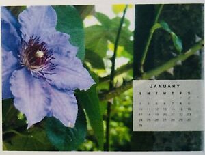 Calendar 2021 small desk office rose garden authentic photo 12month wooden easel