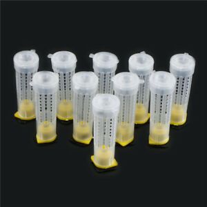 10X Beekeeping Rearing Cup Kit Bee Queen Cage Roller Beekeeper Equipment Tool Jd