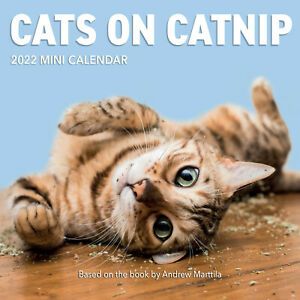 Workman Cats on Catnip Mini Wall Calendar 2022  w