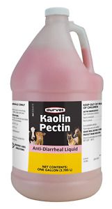 Durvet Kaolin Pectin 128 oz. Gallon