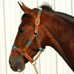 Highland 127010G Halter with Leather Accents - Green Horse