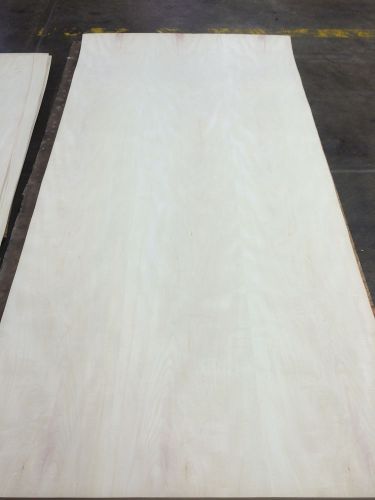 Wood veneer holly 48x98 1pc total 10mil paper backed &#034;exotic&#034; skid 519.8 for sale