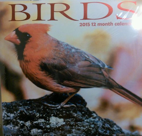 2015 BIRDS 12 x 12 New