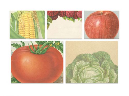 Cavallini &amp; co. garden sticky notes for sale