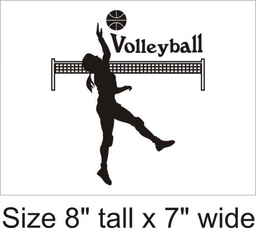 2X Volleyball Player Personalized funny car vinyl sticker Gift   - FAC-55 C