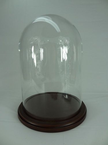 Glass Display Dome 8&#034; x 12&#034; With Walnut Finished Base  Display