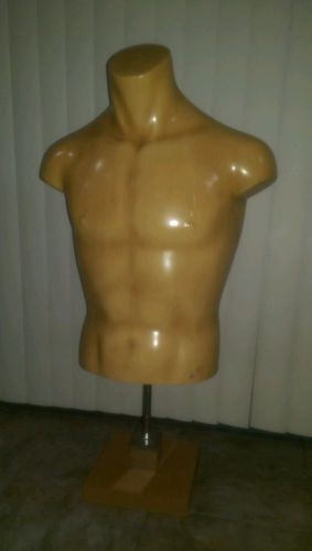 Silvestri male mannequin torso
