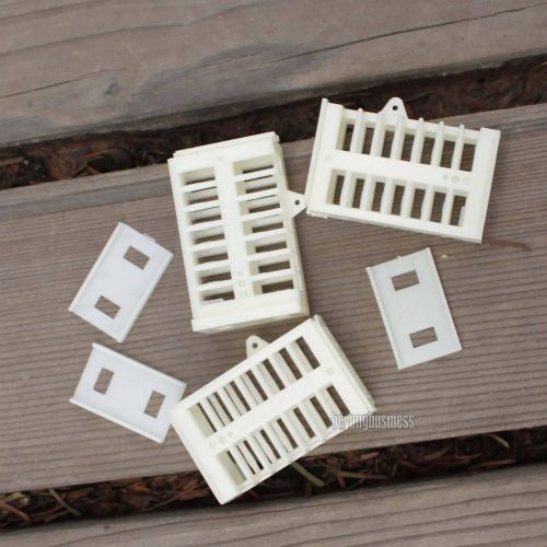 10 x plastic hard queen cage beekeeping tool match box type for sale