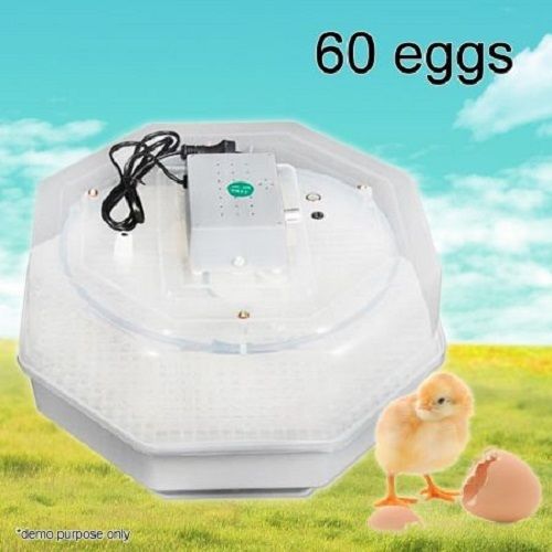 60 poultry eggs electronic poultry incubator hatch ducks, chickens, geese. for sale