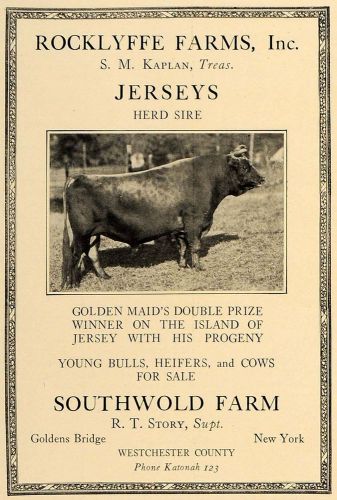 1923 ad rocklyffe southwold farm kaplan jersey cows - original advertising cl4 for sale