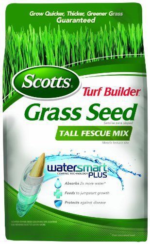 Scotts 18320 turf builder tall fescue seed mix  3-pound for sale