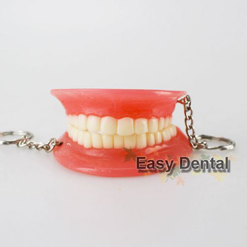 2 sets of teeth maxillary mandible key chain ring oral gum jaw model dental gift for sale