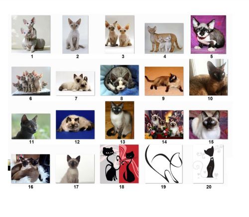 30 Personalized Return Address Labels Cats. Buy 3 get 1 free {cat1}
