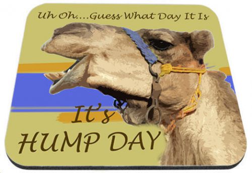 Guess What Day It Is It&#039;s Hump Day Mouse Pad
