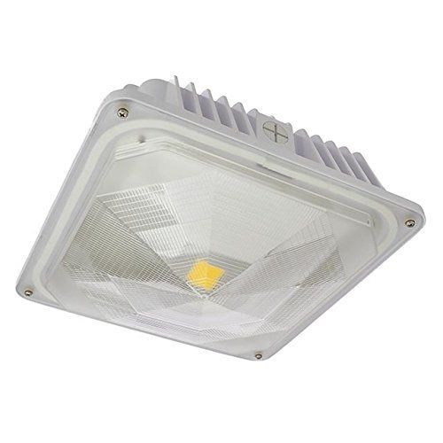 LEDwholesalers 35-Watt Outdoor LED Canopy Ceiling Light Fixture UL-Listed,