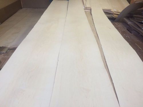Wood Maple  Veneer  115x,8,11,13  total 3 pcs RAW VENEER  1/46 N967..