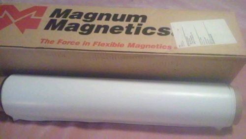 24 Inch Wide  13 Feet Long  White Magnum Magnetics