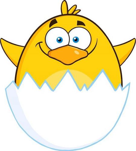 30 Custom Baby Yellow Chick Personalized Address Labels