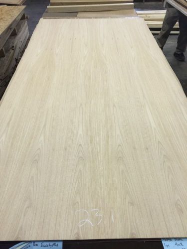 Wood Veneer Hickory 48x98 1 Piece 10Mil Paper Backed &#034;EXOTIC&#034; 1613 23