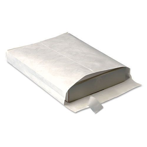 10 x 12 x 3 Tyvek Expansion Envelopes Bulk 250/lot