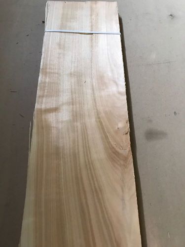 Wood Veneer Yew 7x40 22Pcs Total Raw Veneer  &#034;EXOTIC&#034;  YEW1 11-17-16