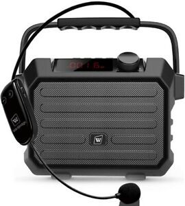 WINBRIDGE Portable PA Speaker Sound System with Bluetooth Headset Microphone 30W