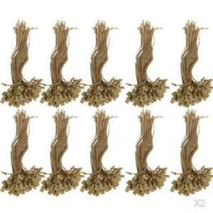 2000 Brown JUTE Twine Square End Tag  String Fastener Labeling Tagging