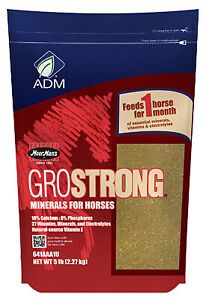 ADM Alliance Nutrition 641AAA1U 5 lbs. GroStrong Horse Minerals