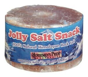 Horsemans Pride SS204S Jolly Pets Salt Stall Snack Treat Refill
