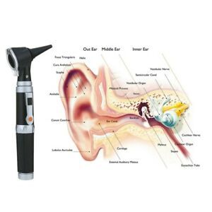 Professional 8 Tips Medical Otoscopio for Medical School Veterinary Clinic Use