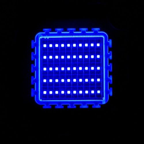 50W Watt Blue High Power LED Light Lamp 450nm 460nm 800-1000LM Aquarium DIY