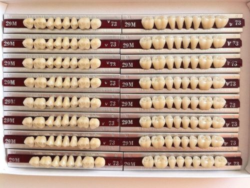 Dentsply New Hue Dentist Dental Lab Porcelain Denture Teeth - 29L  UL  73