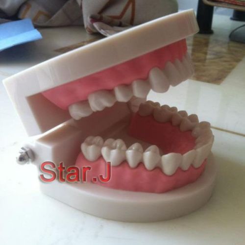 Dental dentist adult standard typodont demonstration teeth teaching model for sale