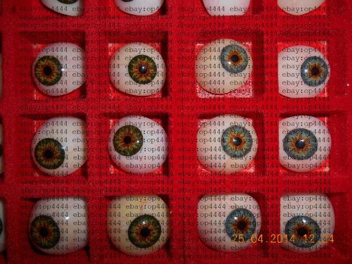 Prosthetic Eyes Colored(50 eyes), Ophthalmic Equipments &amp; Instruments