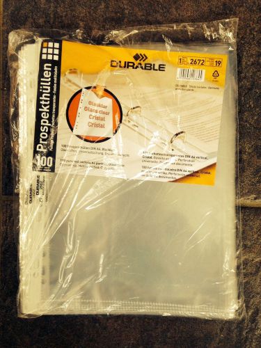 Durable Brand 100 Punched Pockets Glass Clear 2672