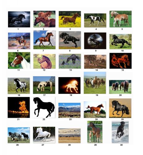 30 Personalized Return Address labels Horses Buy 3 get 1 free {h5}