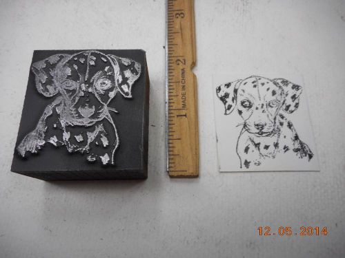 Letterpress Printing Printers Block, Dalmatian Puppy Dog