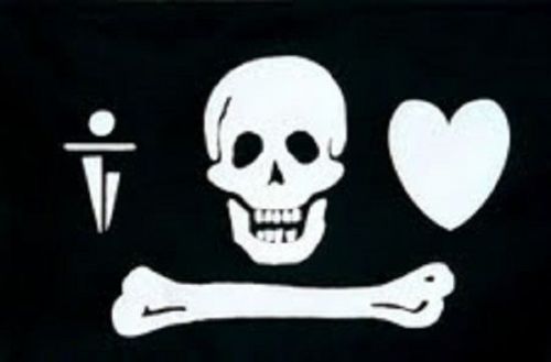 Stede Bonnet Pirate Flag 3x 5&#039; Indoor Outdoor Banner