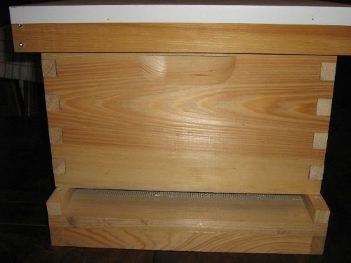 One pine deep box 10 frame beehive
