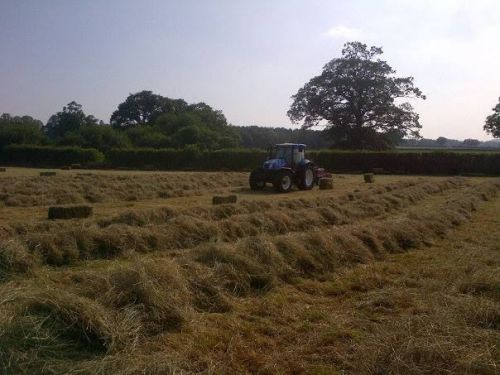 Small Bale Hay - Baled July 2014