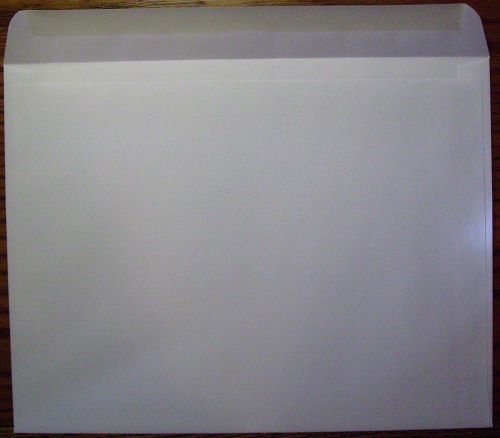 100ct new 13 x 10 white gummed seal side load booklet envelopes 100ct for sale