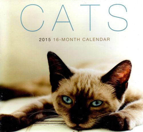 Cats - 2015 12 Month Wall Calendar - 12x11